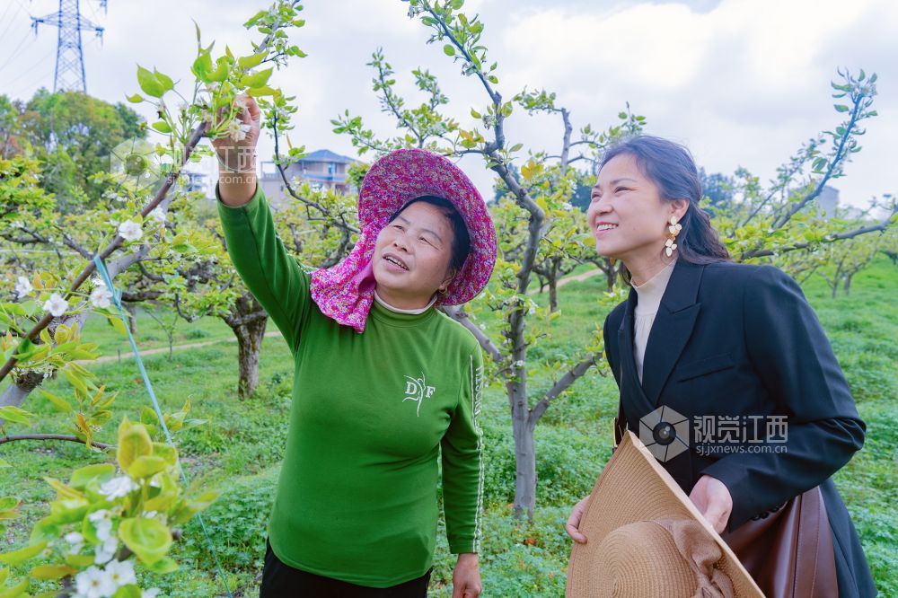 江西金溪：培育巾帼人才 助力乡村振兴（图）