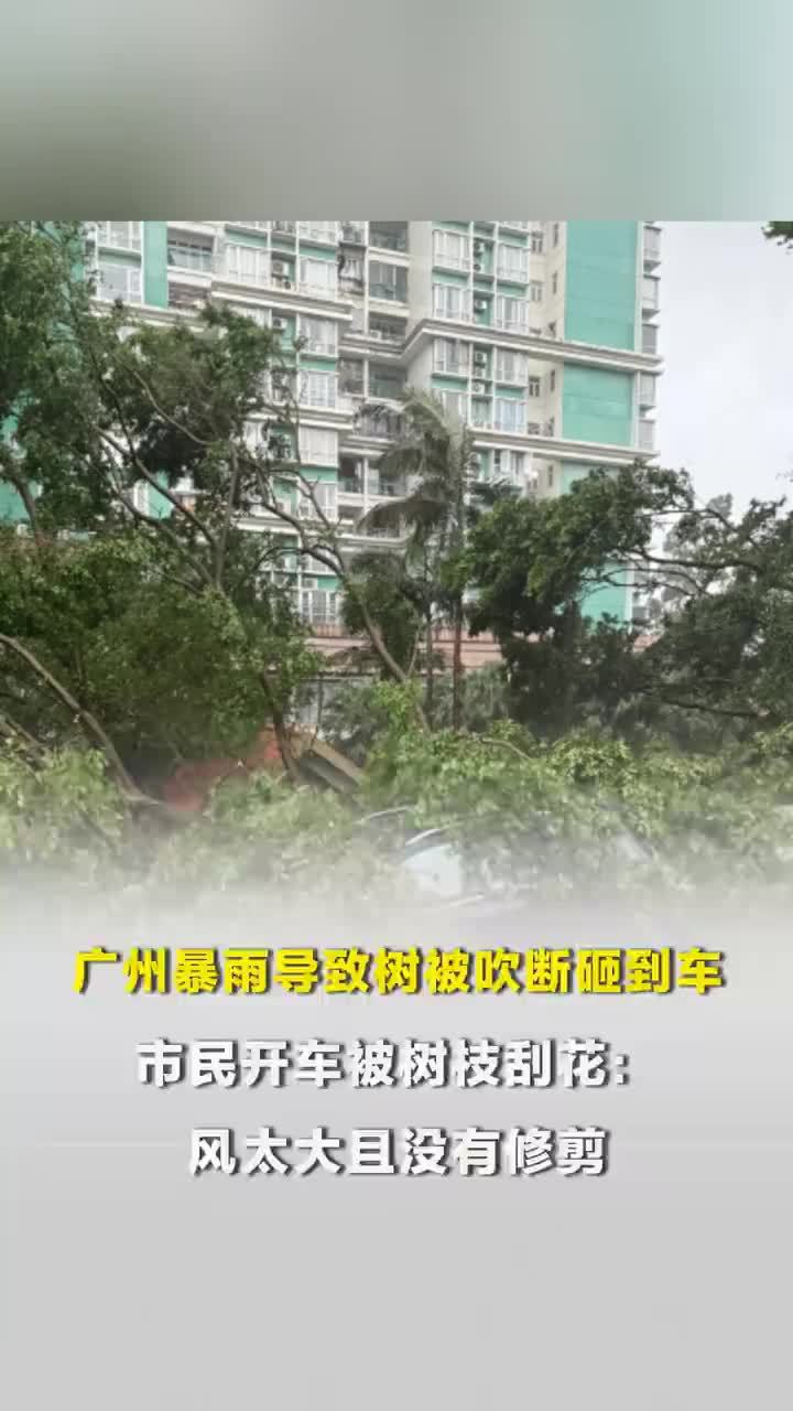 广州暴雨后大树被吹断砸到车