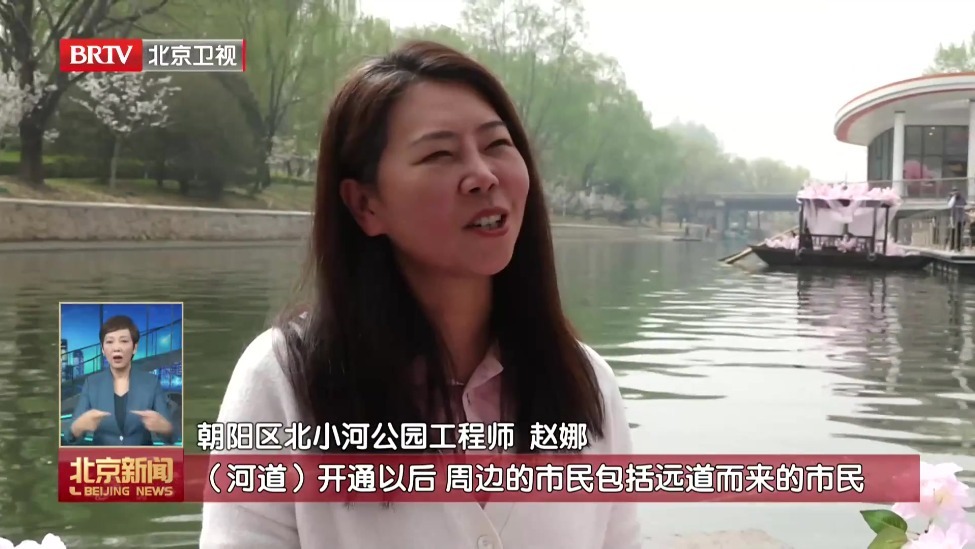 京津冀全民赏花季启幕 北小河水岸樱花醒春开航