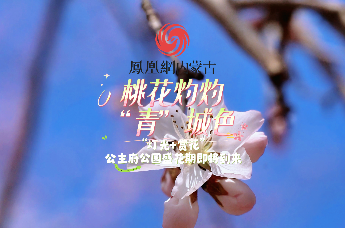 桃花灼灼“青”城色|“灯光+赏花”公主府公园盛花期即将到来