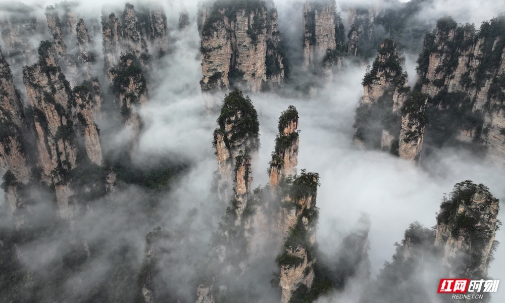 雨后的湖南张家界国家森林公园，云雾变幻飘逸。