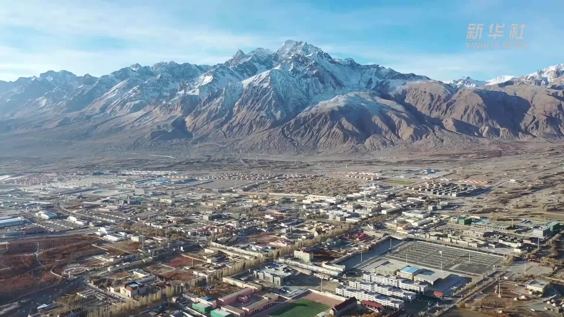 海拔4000米 帕米尔高原车厘子红啦