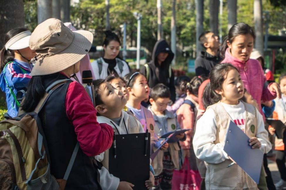 寻宝大作战--香蜜公园植物导赏