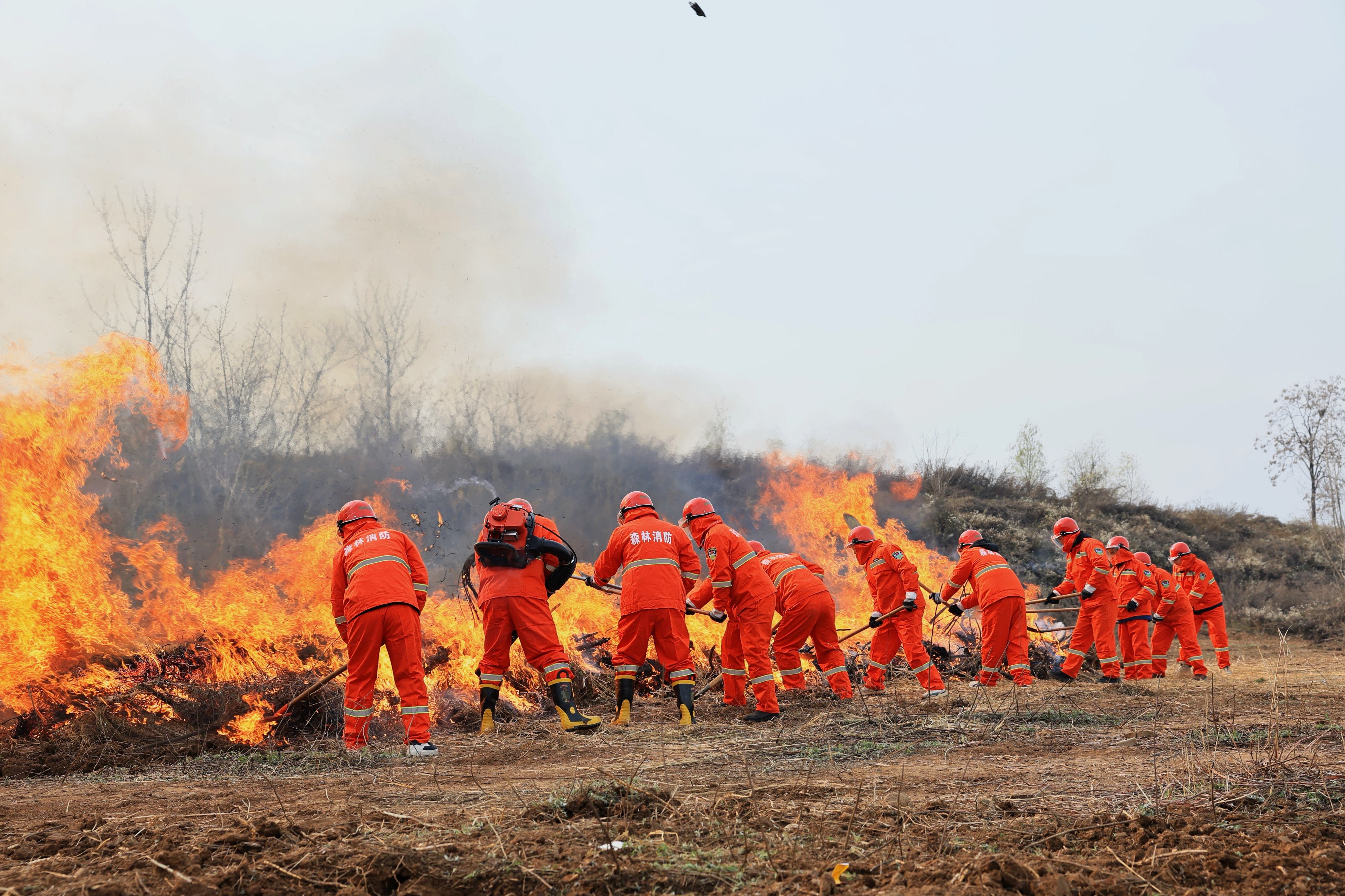 省市联合开展“秦岭御火-2026”森林草原火灾扑救拉动应急演练