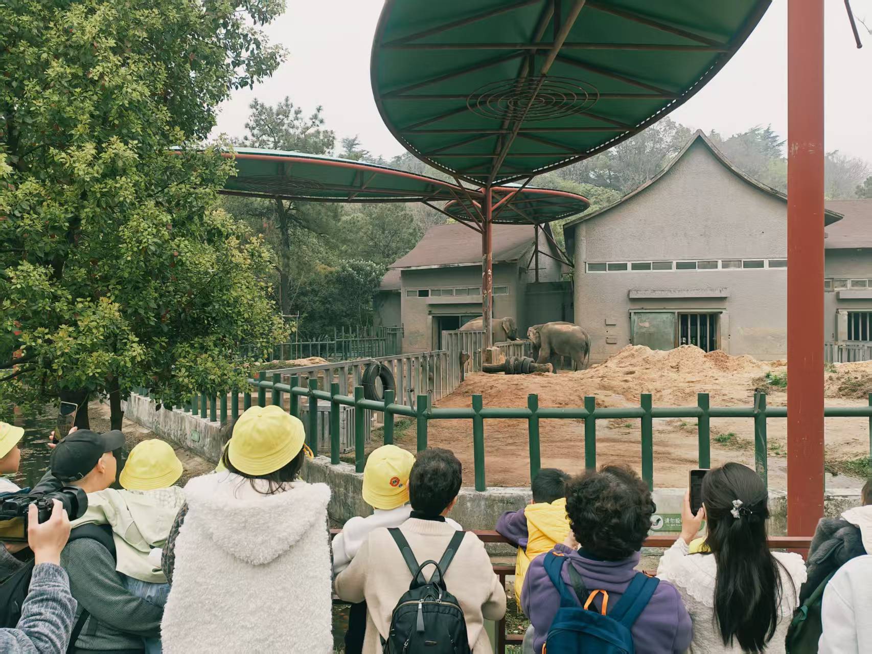 守护“星星的孩子” 南京六大公益行动点亮孤独症儿童成长路