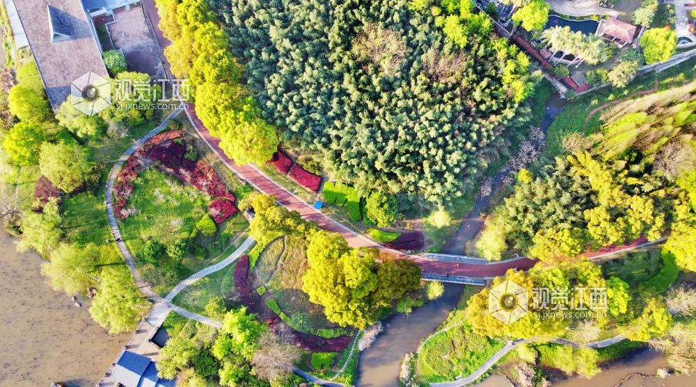 江西新余：湿地公园 春景如画（图）