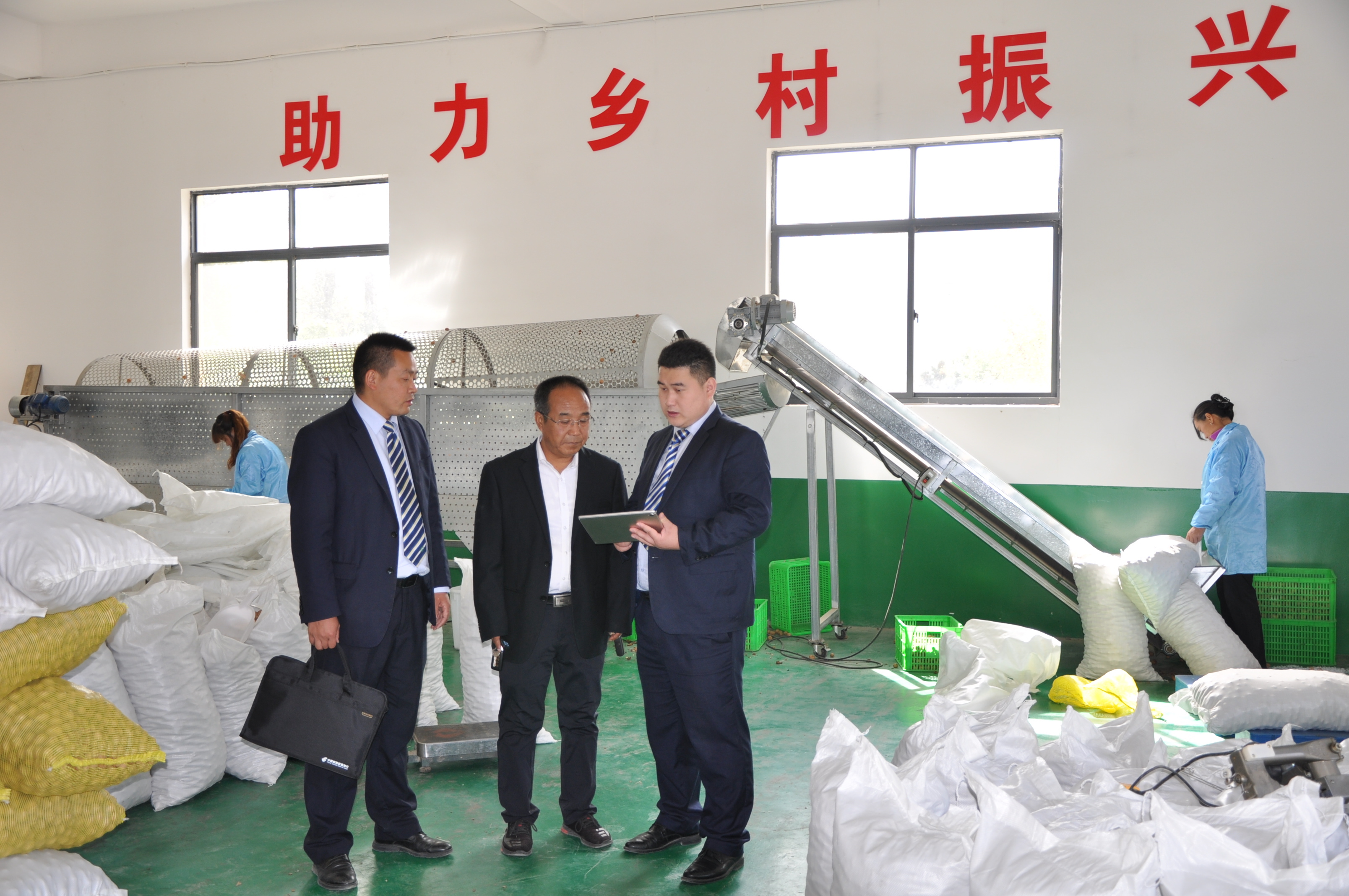 深耕“五篇大文章” 澆灌商山振興花——郵儲銀行商洛市分行以金融活水賦能鄉村全面振興