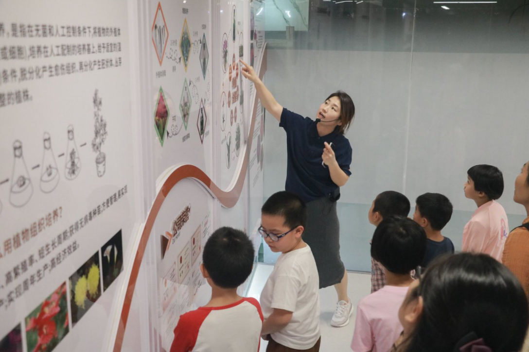 空中交通--深巴集团工业研学兰花探秘—深农科四季花谷兰花培育研学