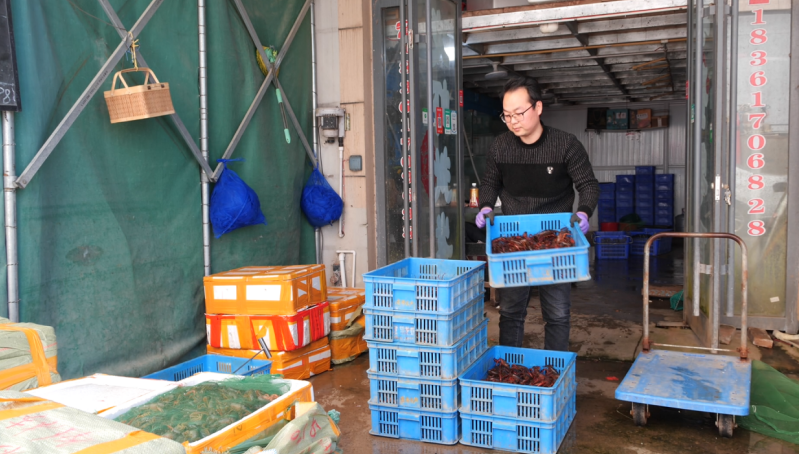 早春尝鲜热潮起，徐州睢宁“小龙虾”撑起“大产业”