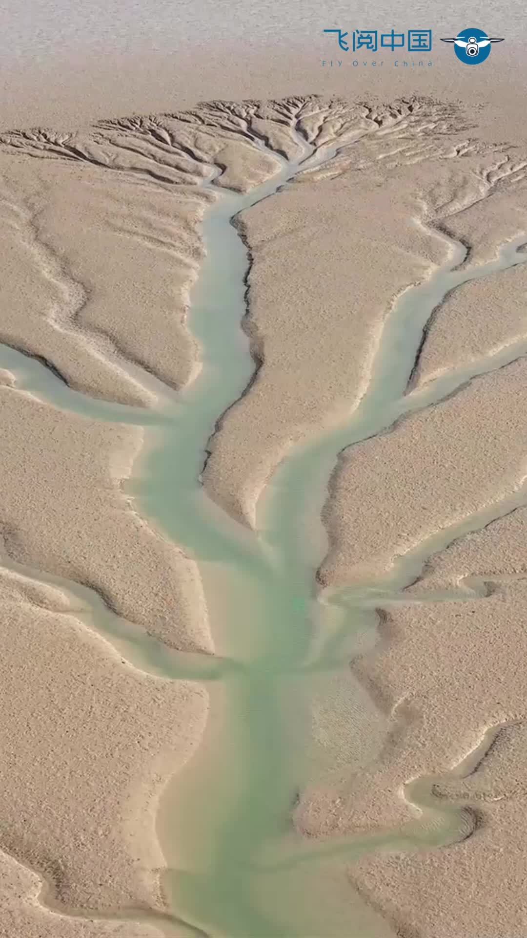 60''飞阅中国｜来东营黄河入海口赴一场春日之约