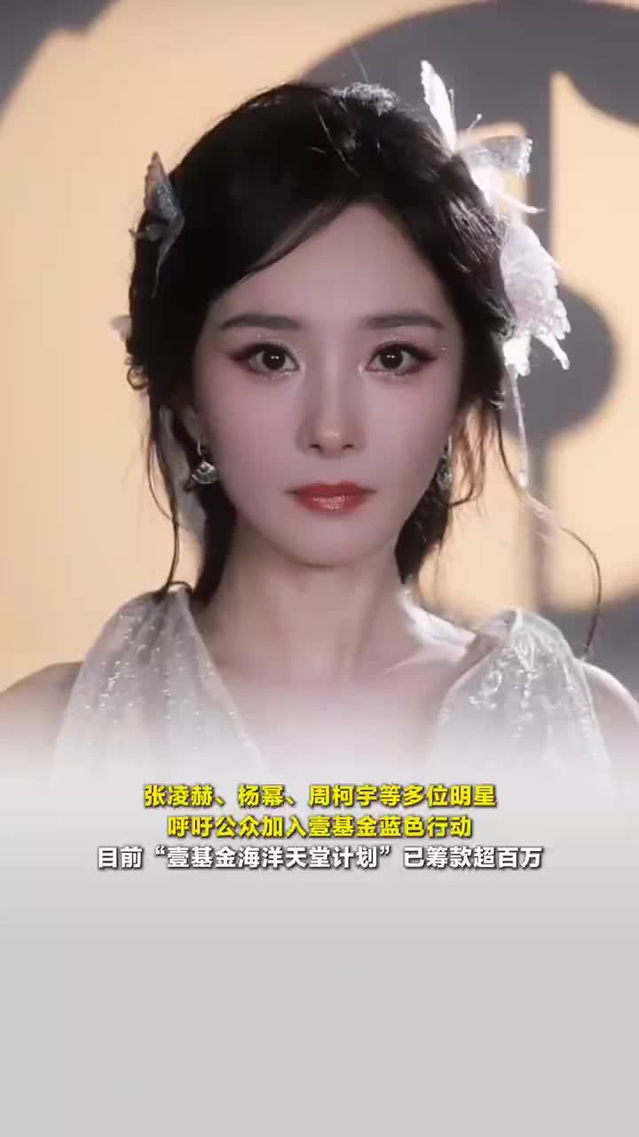 杨幂张凌赫多位明星呼吁关注孤独症，壹基金海洋天堂计划筹款超百万