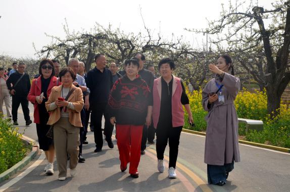 聊城举办作家诗人放歌梨乡三十周年大型采风活动