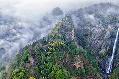 庐山出台管理规定 严管未开发、未开放区域杜绝“野爬”