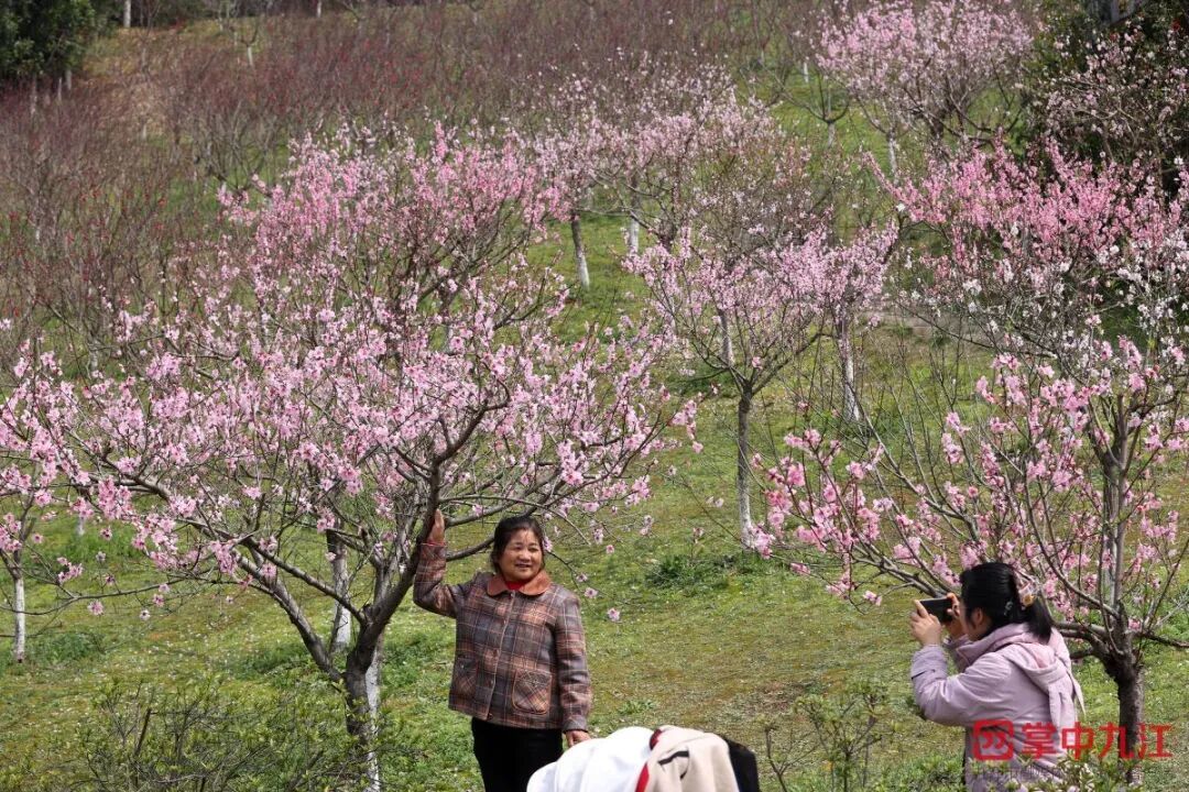 (九江日报记者 刘家/摄)