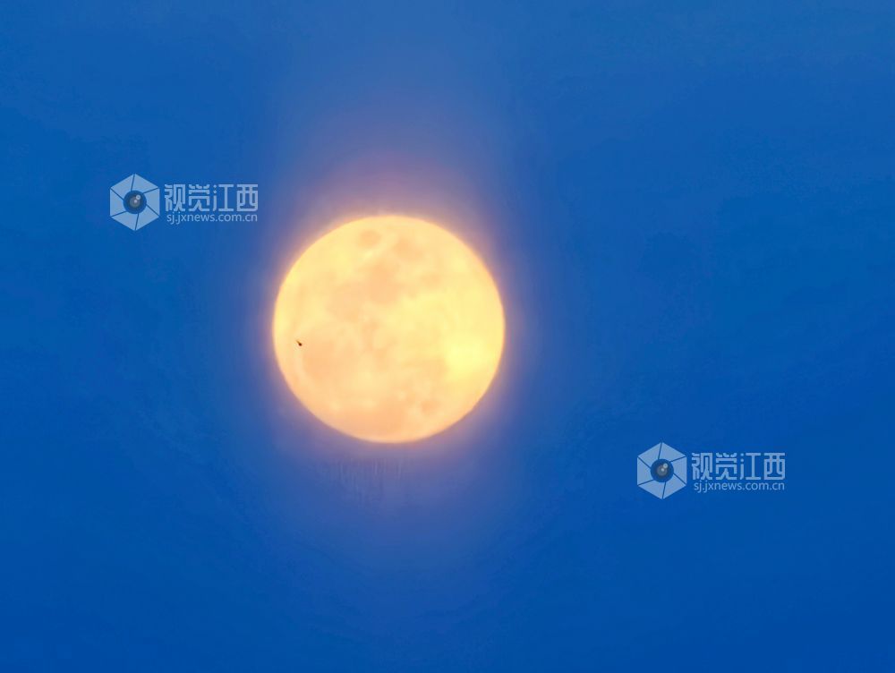 江西分宜：皓月映湖面 夜色漾清辉（图）