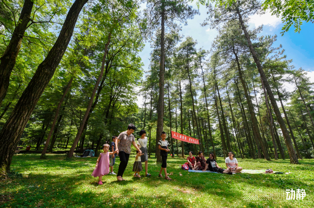 贵阳市长坡岭国家森林公园 潘德玉 摄