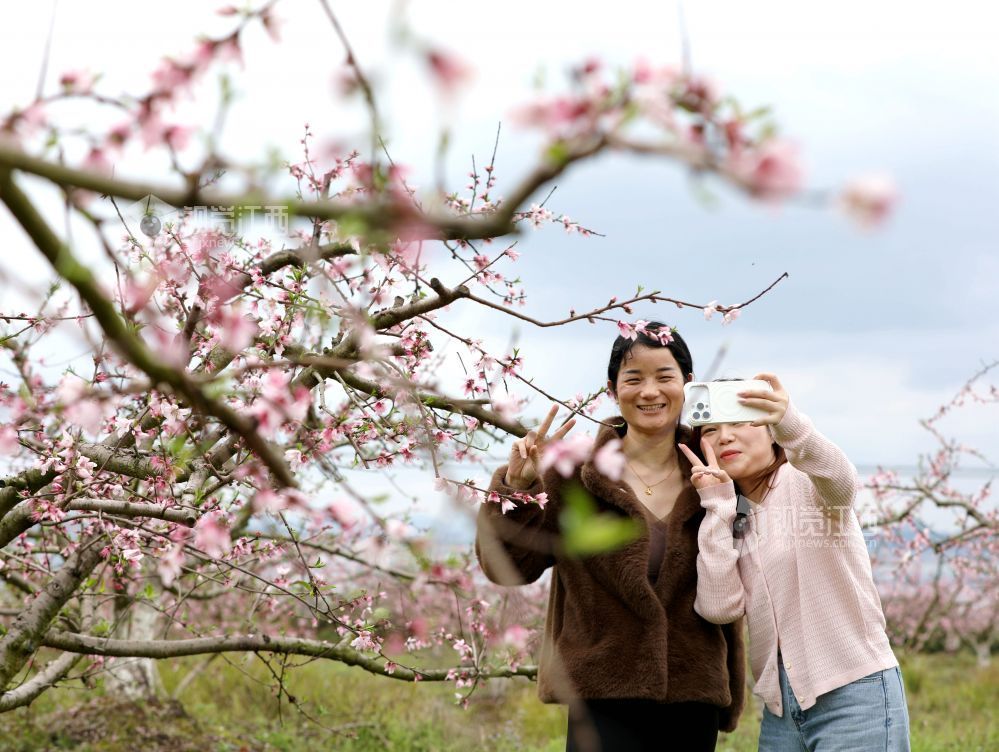 江西分宜:赏桃花 享春光(图)