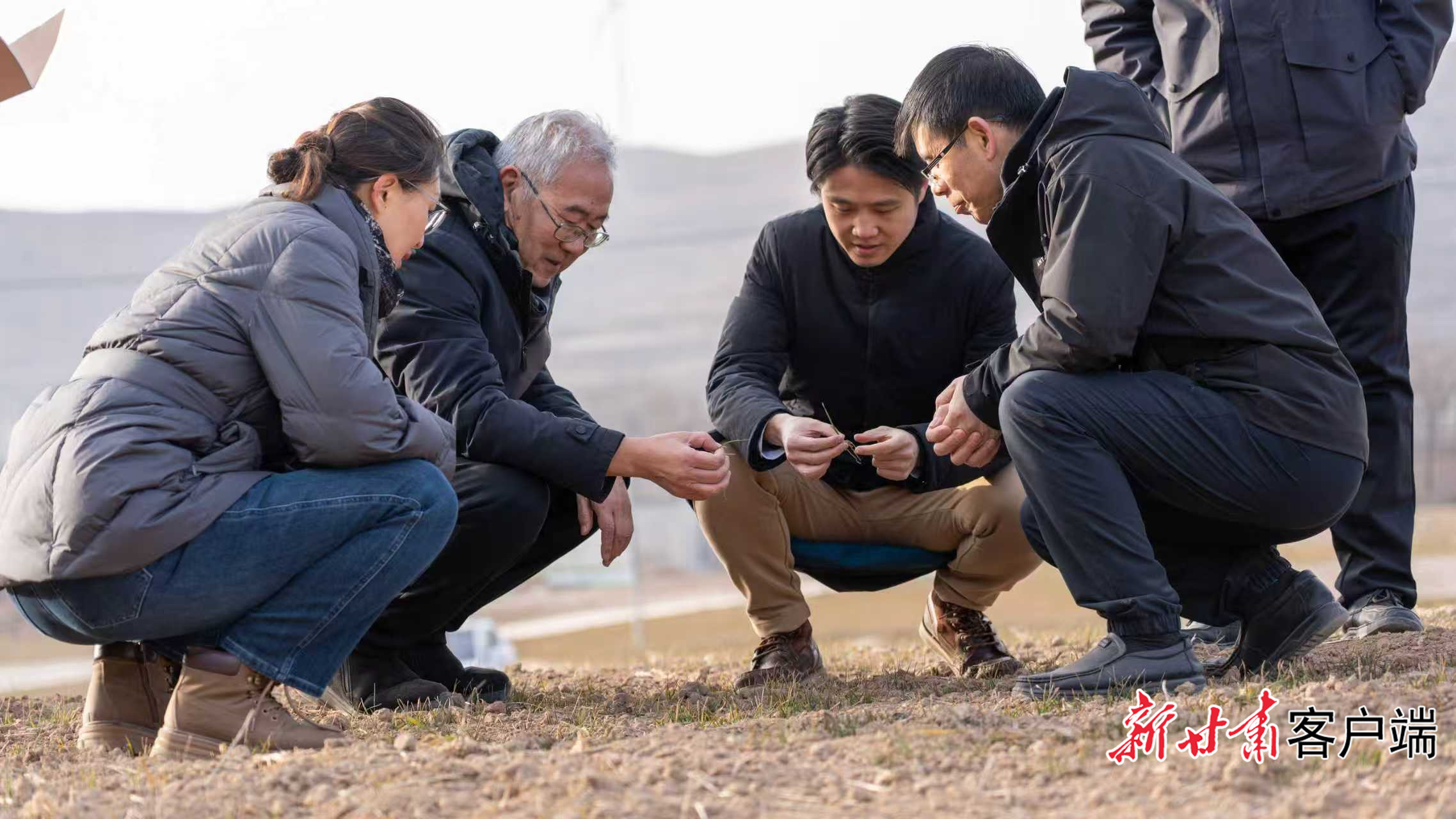 柴守玺委员(左二)调研冬小麦生长情况 本文图片均由甘肃农业大学提供