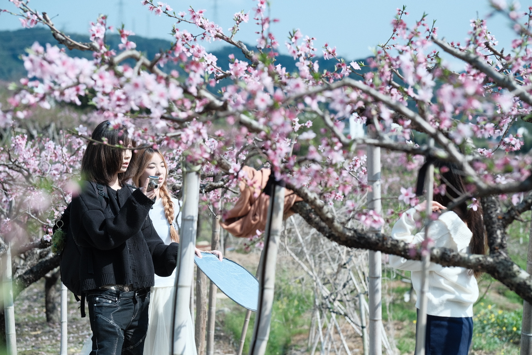 从教室到田野：这所高校的课堂竟然“搬”进了千亩桃林！