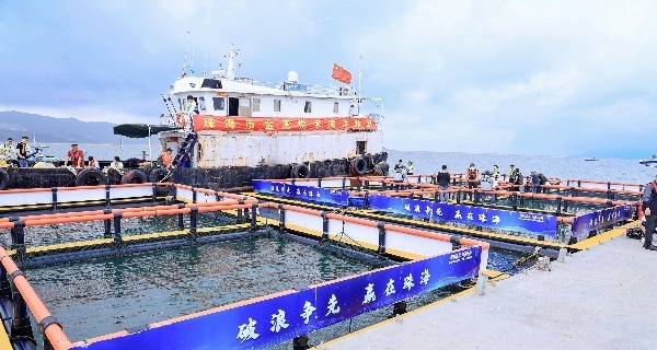 带着1500万订单开赛！湾区首届海洋牧场机器人赛事在珠海深海“实战”