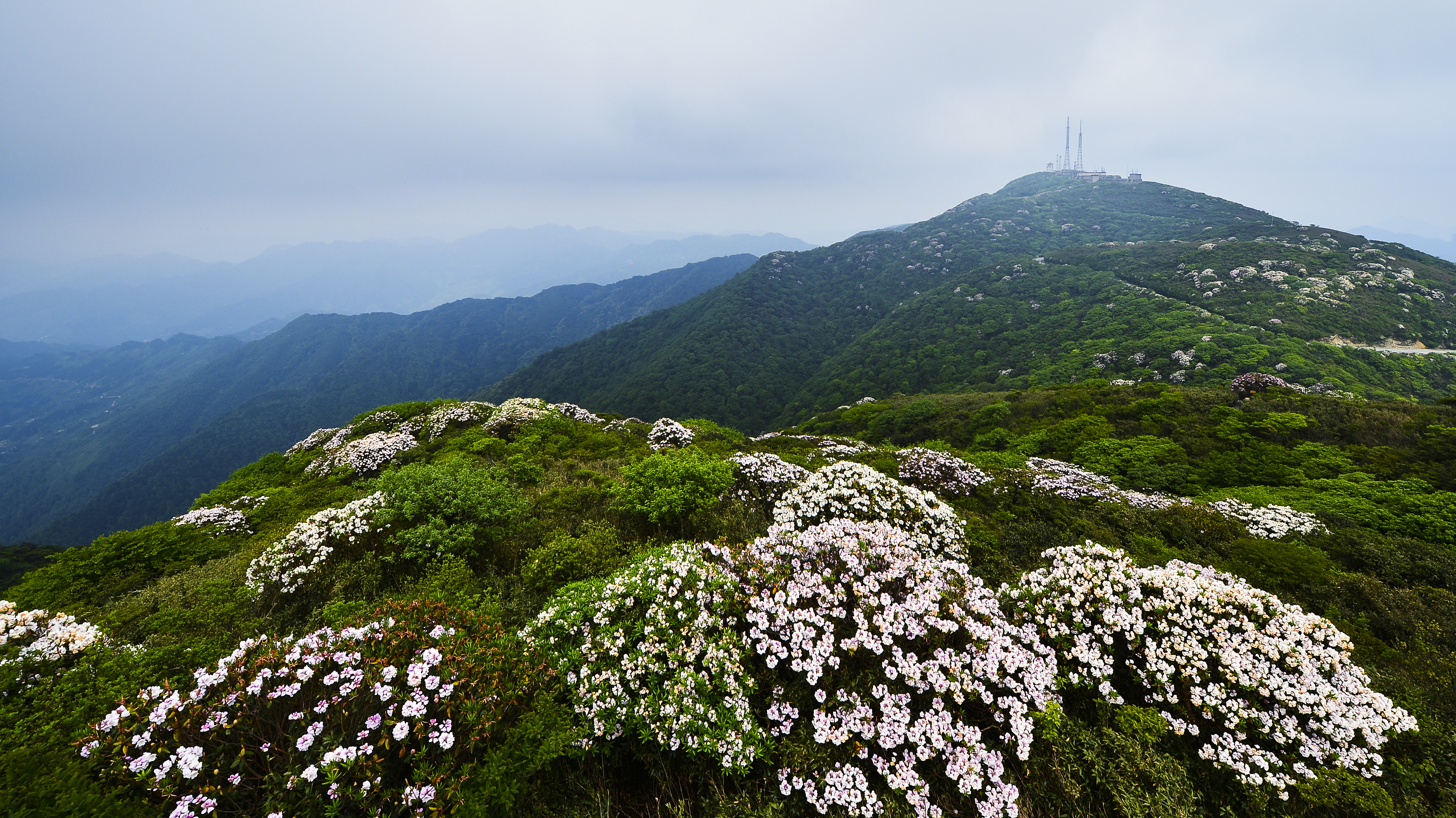 黔东南州雷公山国家级自然保护区 龙圣勇 摄