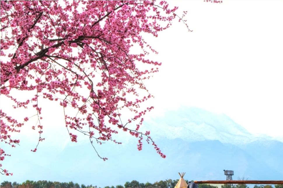 图源：长安唐村