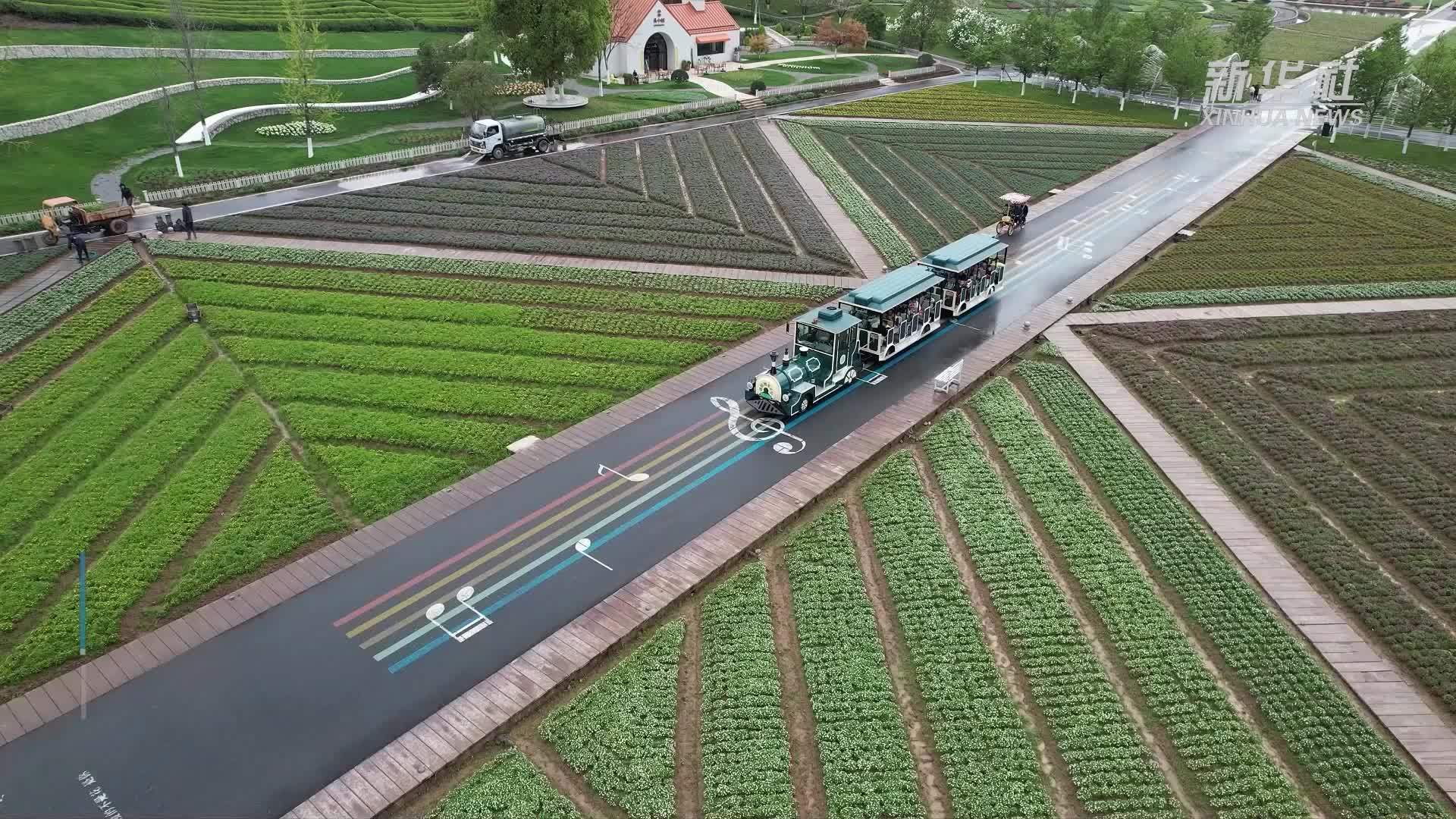 浙江武义：中小学生乐享春假  研学游持续升温