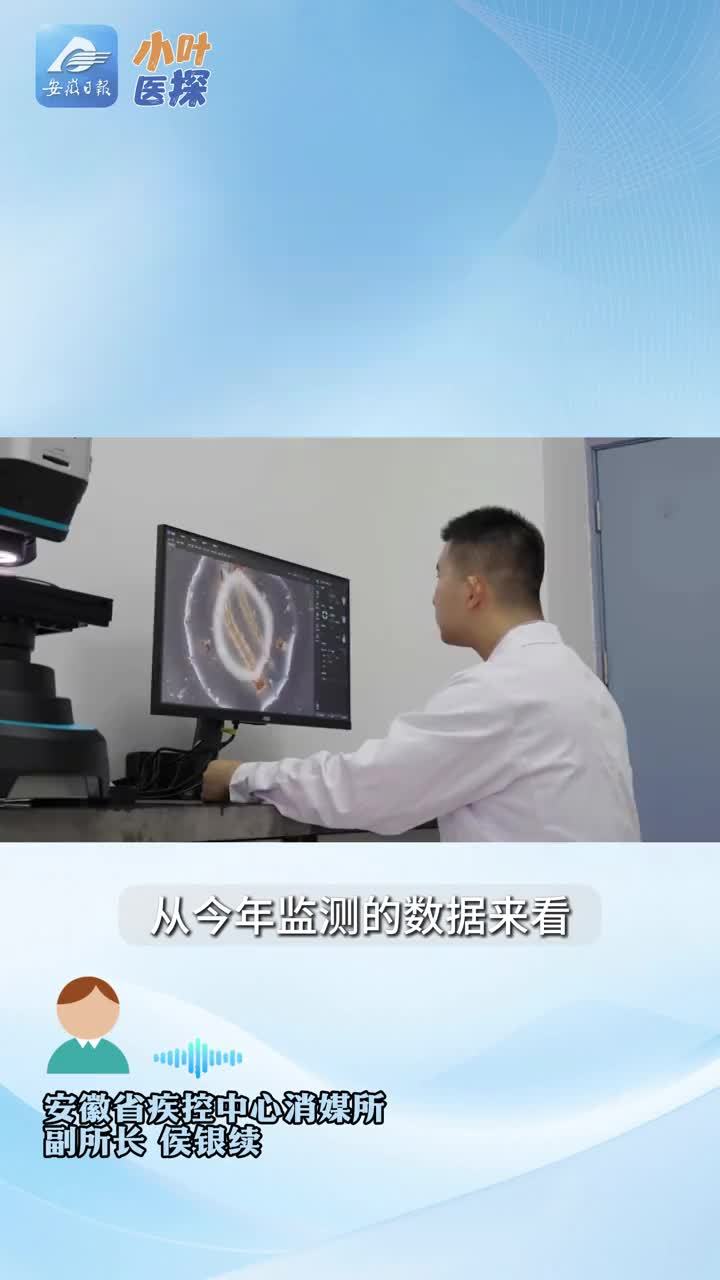 今年蚊子将史诗级加强？安徽疾控最新研判！近日，话题“今年蚊子可能迎来史诗级加强”登上热搜，引发广泛关注。不少安徽网民也热议，我省蚊虫活动是否会提前了？今年的蚊虫密度是否会高于往年？对此，“小叶医探”