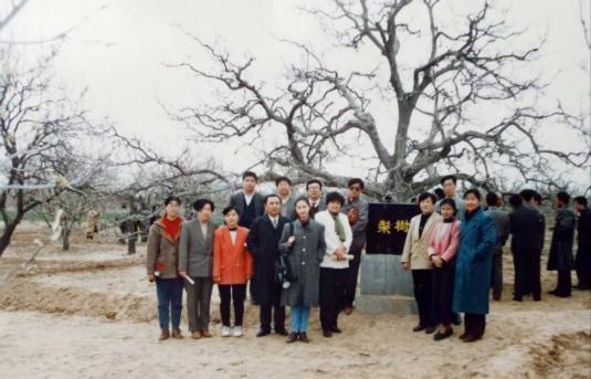 资料照片（1996）