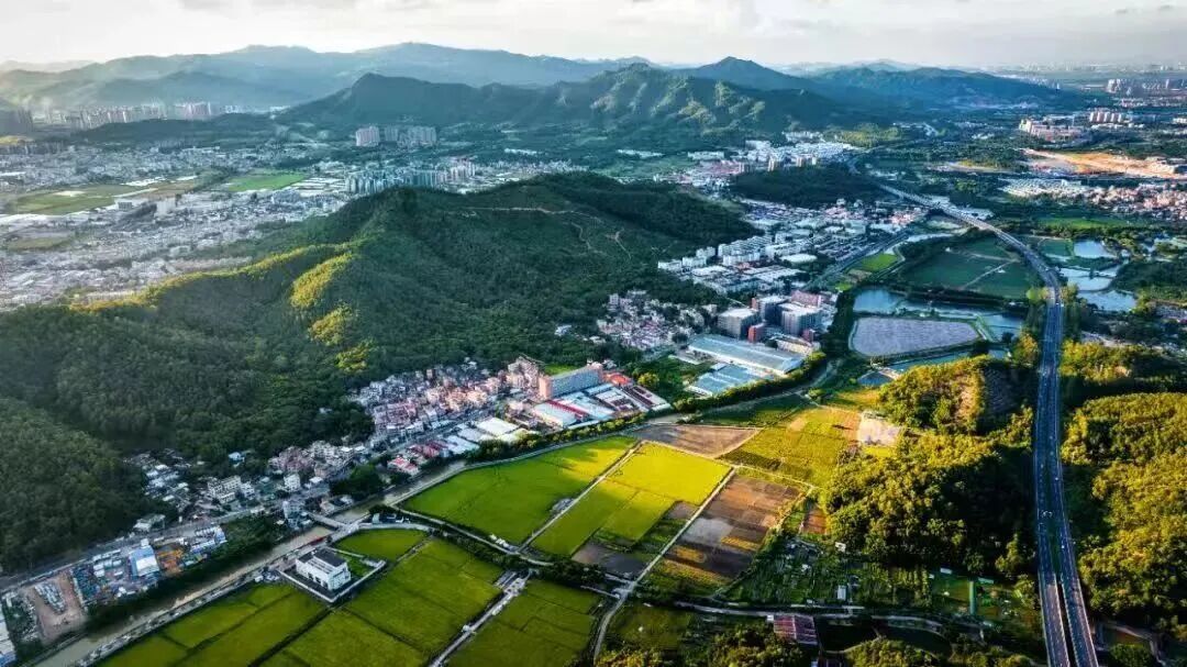 重构湾区“慢生活”样本:三乡如何打造“七个一”生活美学