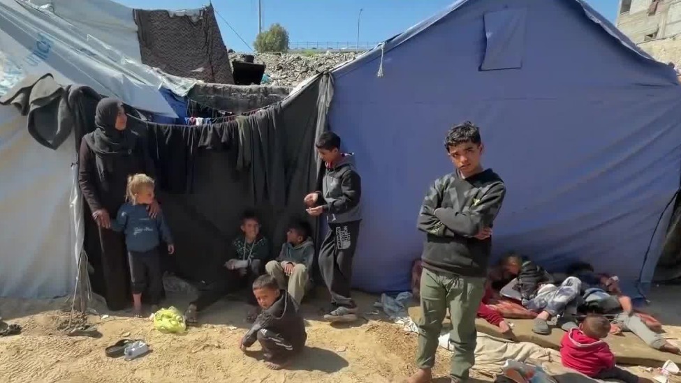 凤凰记者：加沙濒临饥荒，妇孺营养不良病例激增