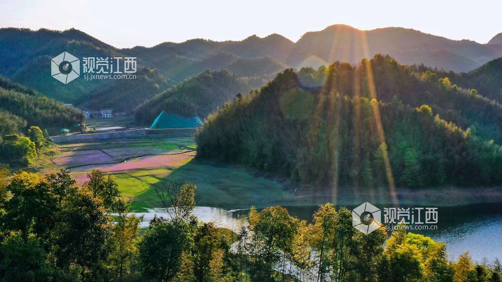 2026年4月1日,江西省宜春市袁州区彬江镇,天空多姿多彩的云霞与地上光影斑斓的红花相映成趣,美不胜收。