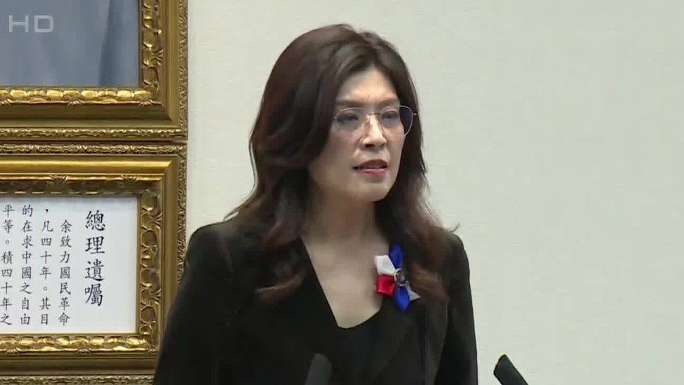 郑丽文向中常会报告访陆行，强调意义重大