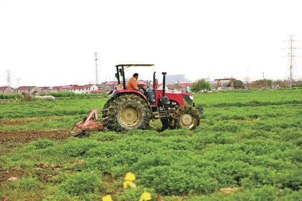 今年春耕 田畴可有新光景？