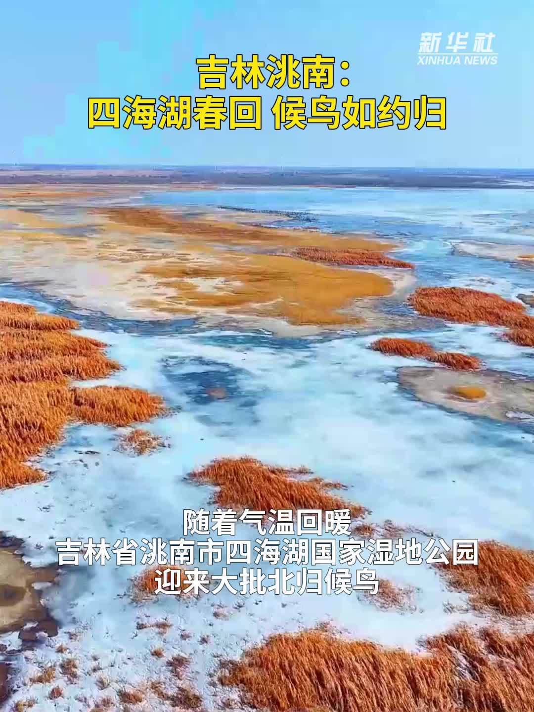 秀我中国｜吉林洮南：四海湖春回 候鸟如约归