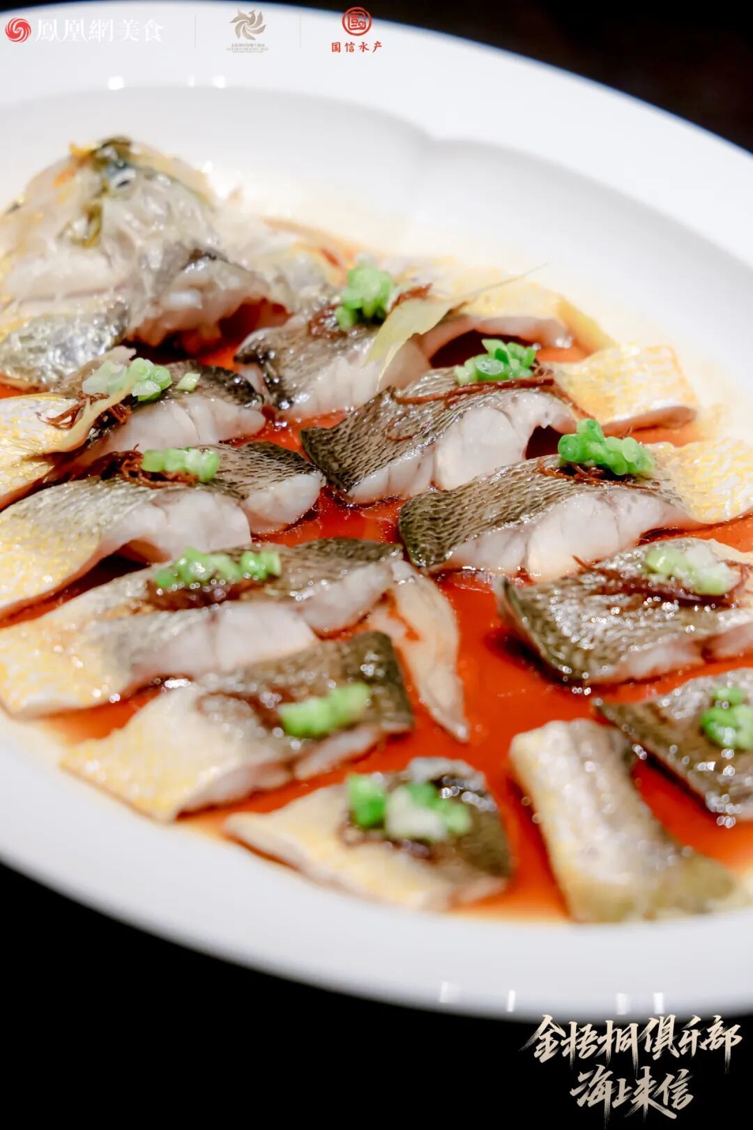 从深圳起航！国信水产&times;金梧桐“海上来信”全国巡礼启程