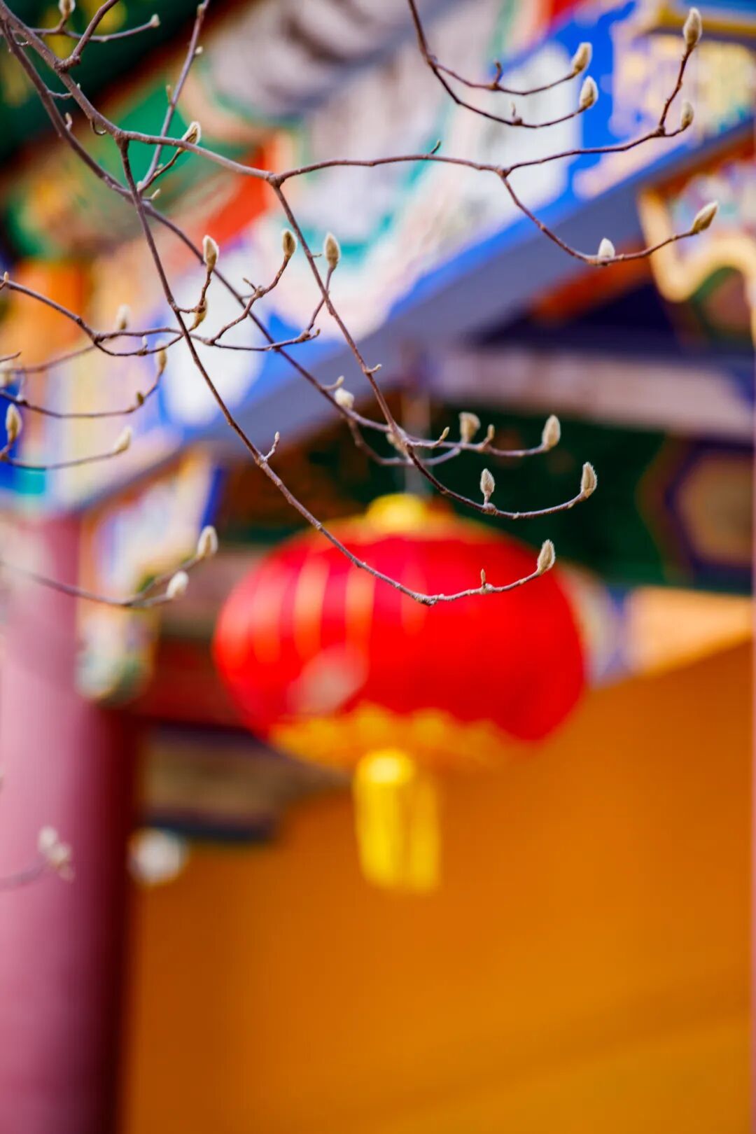 一光一影是千年！15个镜头定格正觉寺庄严气象丨厦门云游寺院摄影展