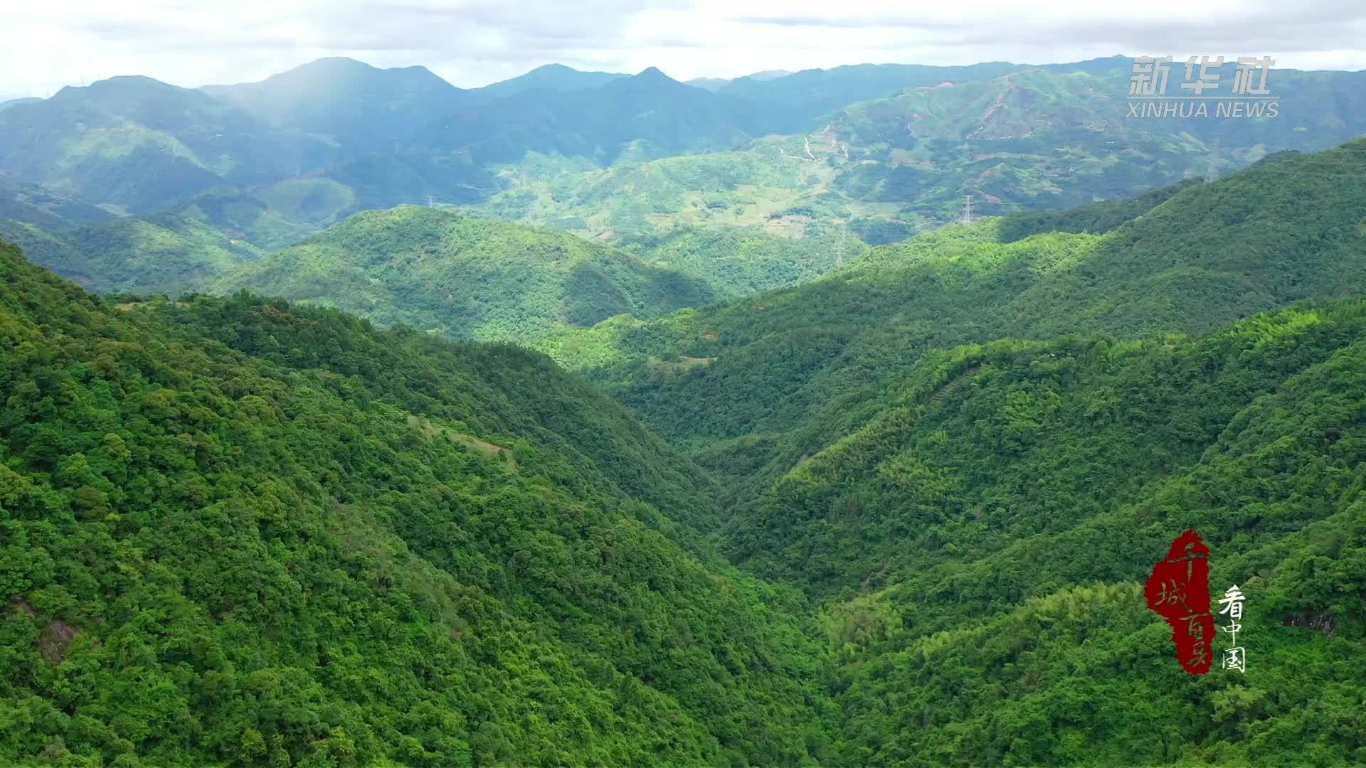 千城百县看中国丨福建霞浦：来吴洋村一起“森”呼吸