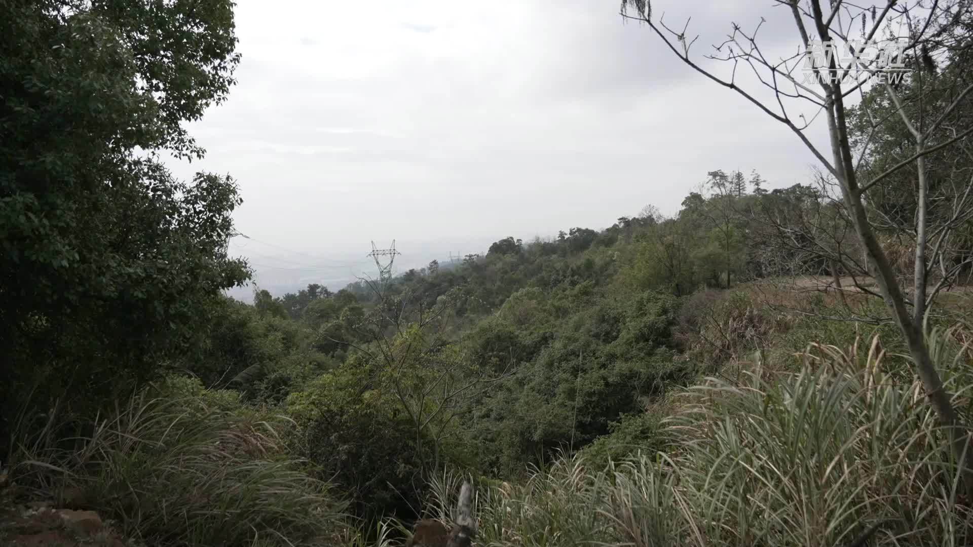 江西南昌：人防+技防 严防清明森林火灾