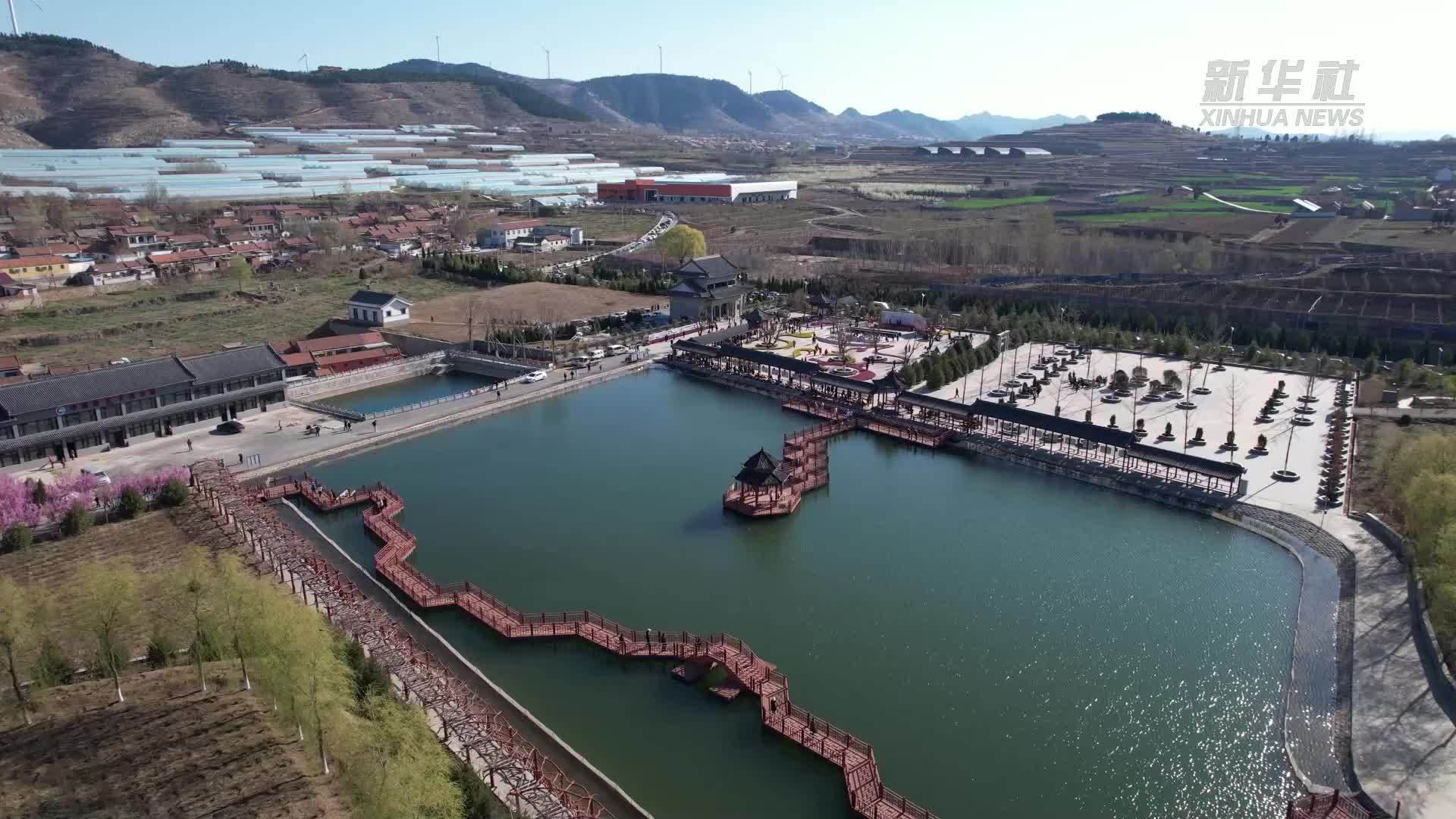 山东：片区化推进乡村振兴 特色产业促民增收