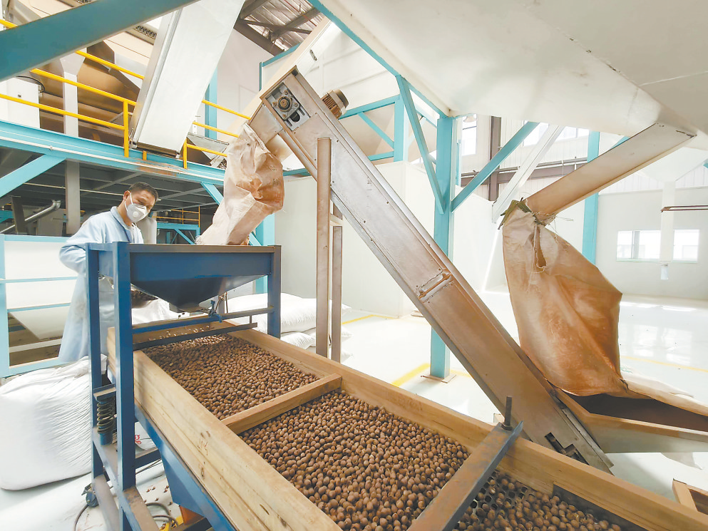 从“季节性”到“全年产”，广昌这家企业让莲子身价涨了三成