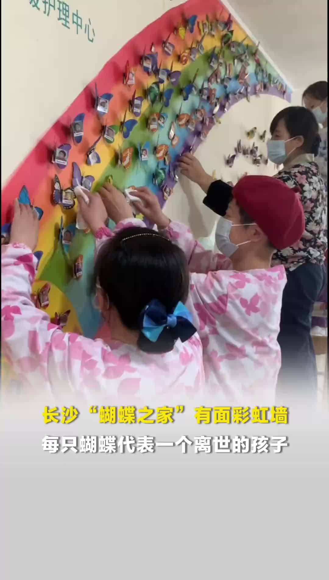 长沙蝴蝶之家有面彩虹墙，蝴蝶代表离世的孩子，每年清明护理阿姨为蝴蝶擦拭翅膀