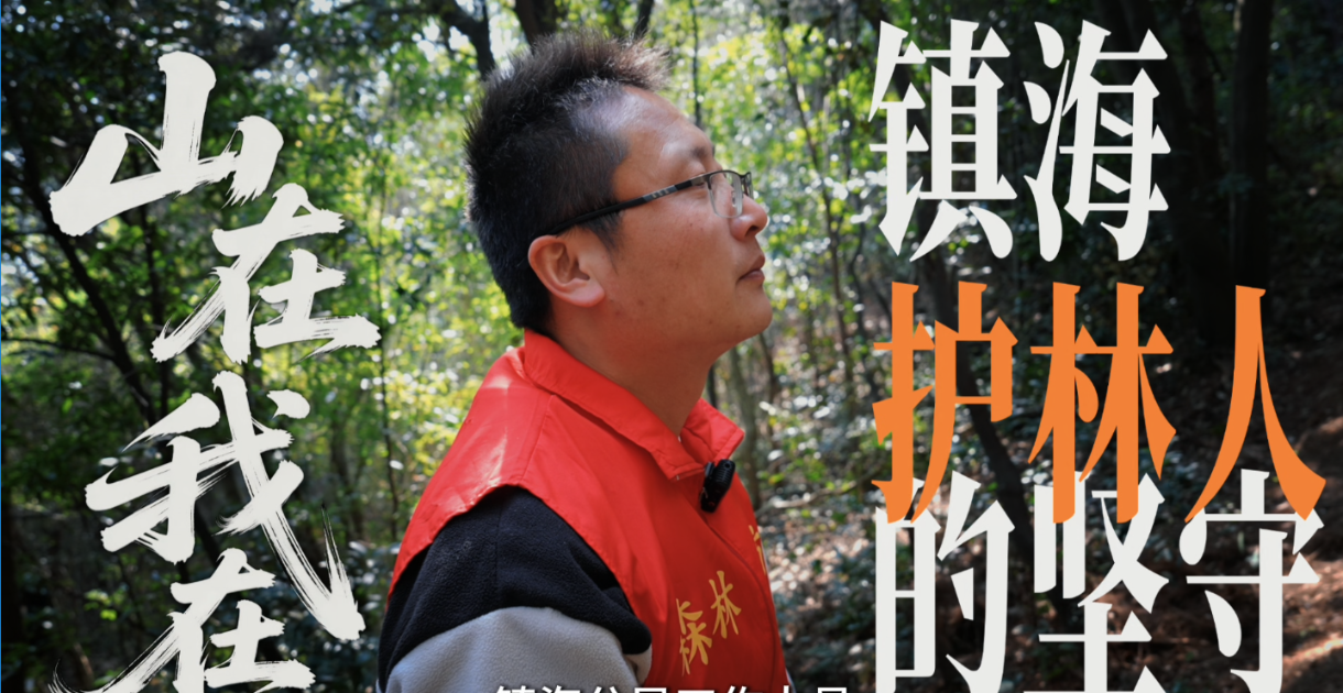 镇海“护林卫士”丨用脚步丈量青山，以坚守守护翠色