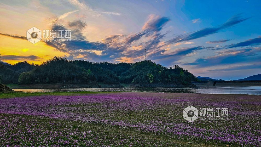 2026年4月1日,江西省宜春市袁州区彬江镇,天空多姿多彩的云霞与地上光影斑斓的红花相映成趣,美不胜收。