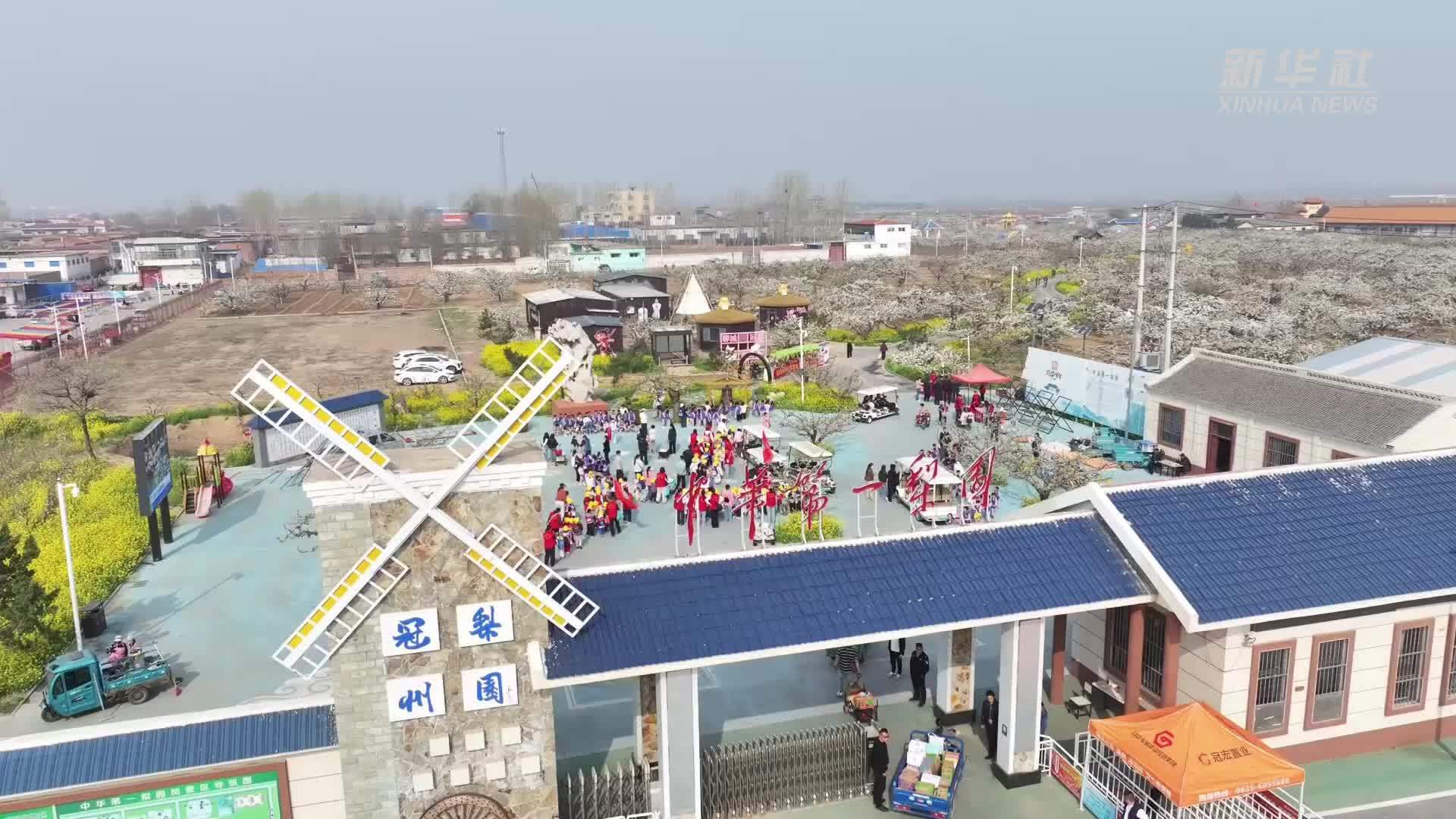 秀我中国｜山东冠县万亩梨花盛开，来赴一场春日之约