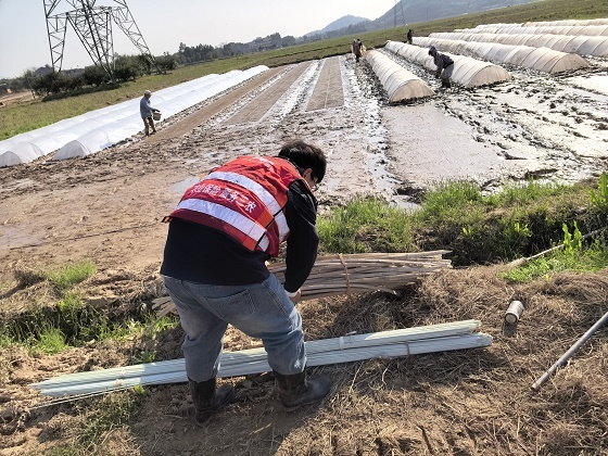 人保“春雨”润良田 温暖服务护春耕