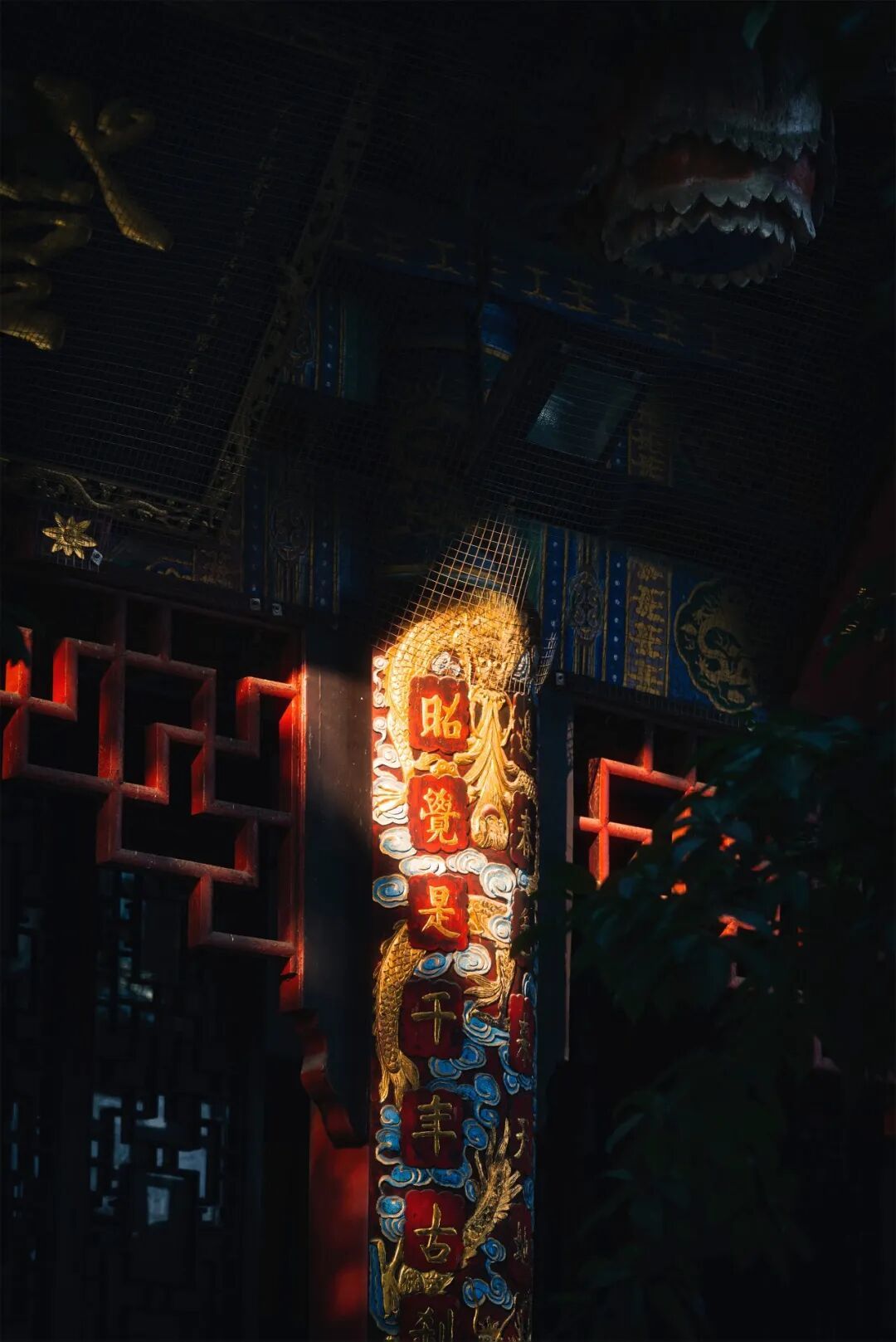 康熙笔下的“春光共郁葱”，在昭觉寺苏醒了丨厦门云游寺院摄影展