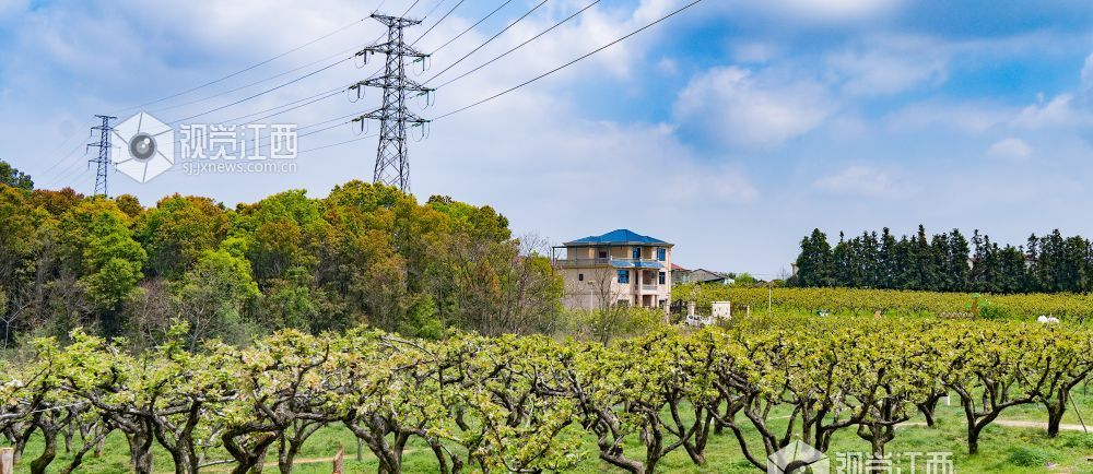 江西金溪：培育巾帼人才 助力乡村振兴（图）