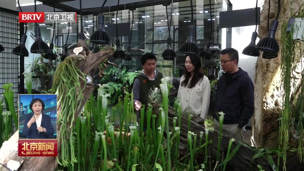 不负京华好春光丨国家植物园开启“一站式”赏春模式