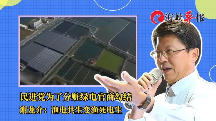 民进党为了分赃绿电官商勾结 谢龙介：渔电共生变渔死电生